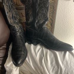 Dan Post Cowboy Boots 