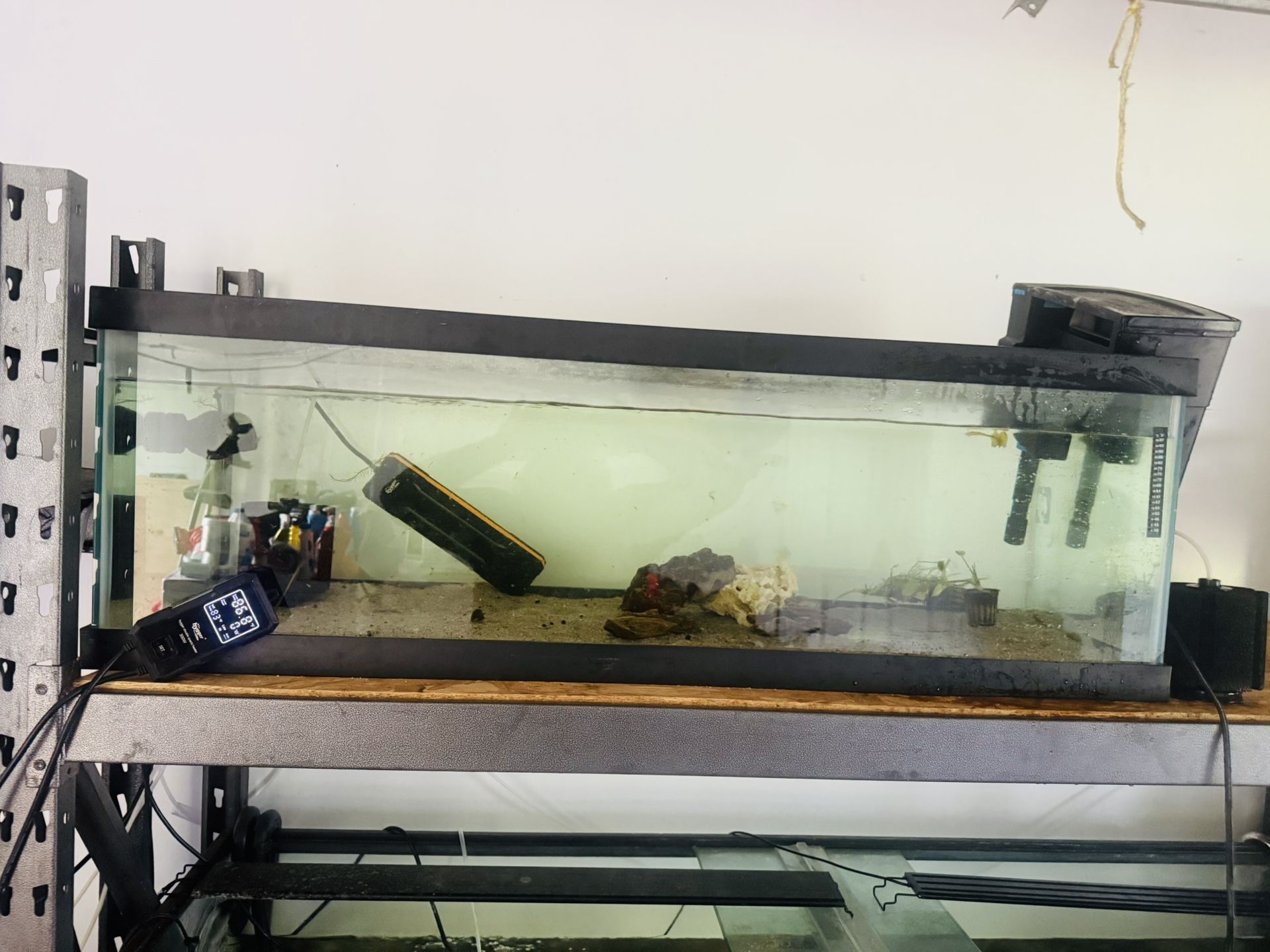 60 Gallon Aquarium With Everything