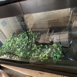 2Top Fin® Essentials Aquarium Starter Kit Top Finger ® Silenstream™ Power Filter