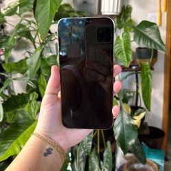 iPhone 12 Pro Max 256 GB Verizon