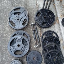 Weights &Bars