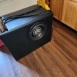 12in Subwoofer 