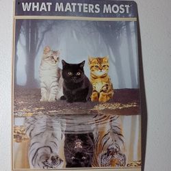 Metal Sign What Matters Most Is How You See Yourself Cat Wall Art Room Aesthetic