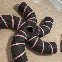 free cat tunnel 
