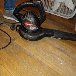 Toro Power Sweep