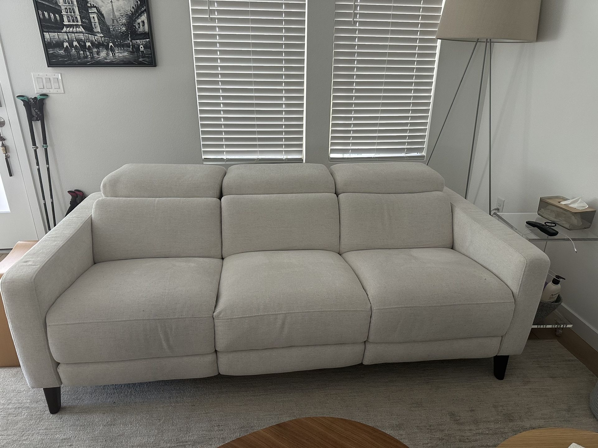 Cute Sofa (recliner)