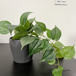 IKEA Fake Potted Plant