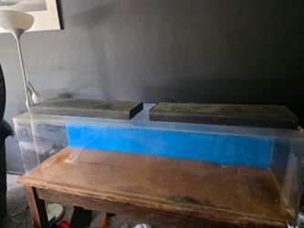 Aquarium