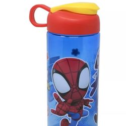 Spidey & Friends Sullivan Water Bottle For School - Kids Sports Water Bottle, 16.5oz