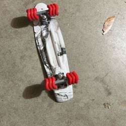 New Shark Wheel Plastic Skateboard 