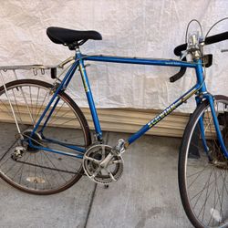Vintage 1980 Schwinn Bike 