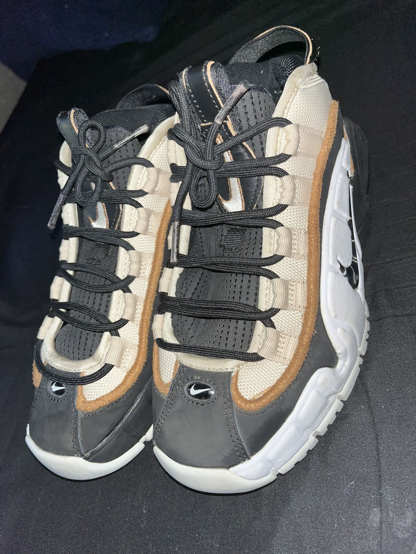 Air Max Penny 1