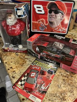 Dale Earnhardt Jr Collector Lot
