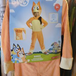 Girls bluey bingo halloween costume size 3T/4T 