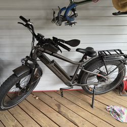 Rad Rover E-Bike