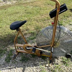 Schwinn Air dyne  exercise bike