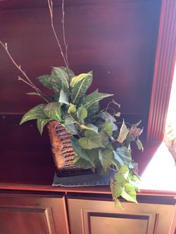 Silk Plant In Bookend Container