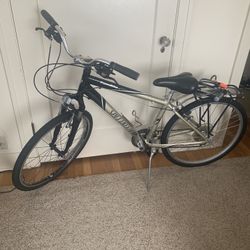 Specialized Expedition Bike