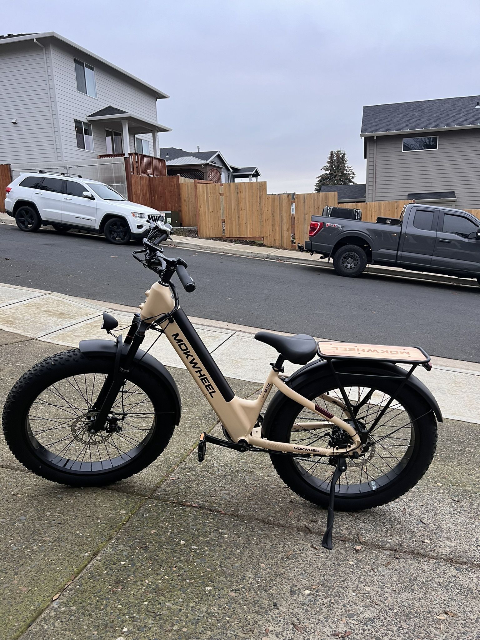 Fat Tire E-bike - Awesome Color