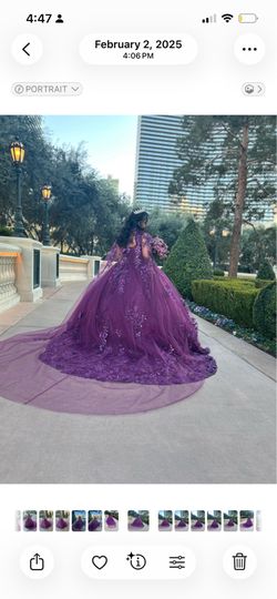 Quinceañera dress