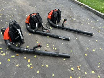 Echo Gas Powered Backpack Blowers