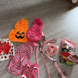 Puppy Essentials