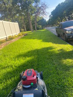 Landscaping / se limpian terrenos