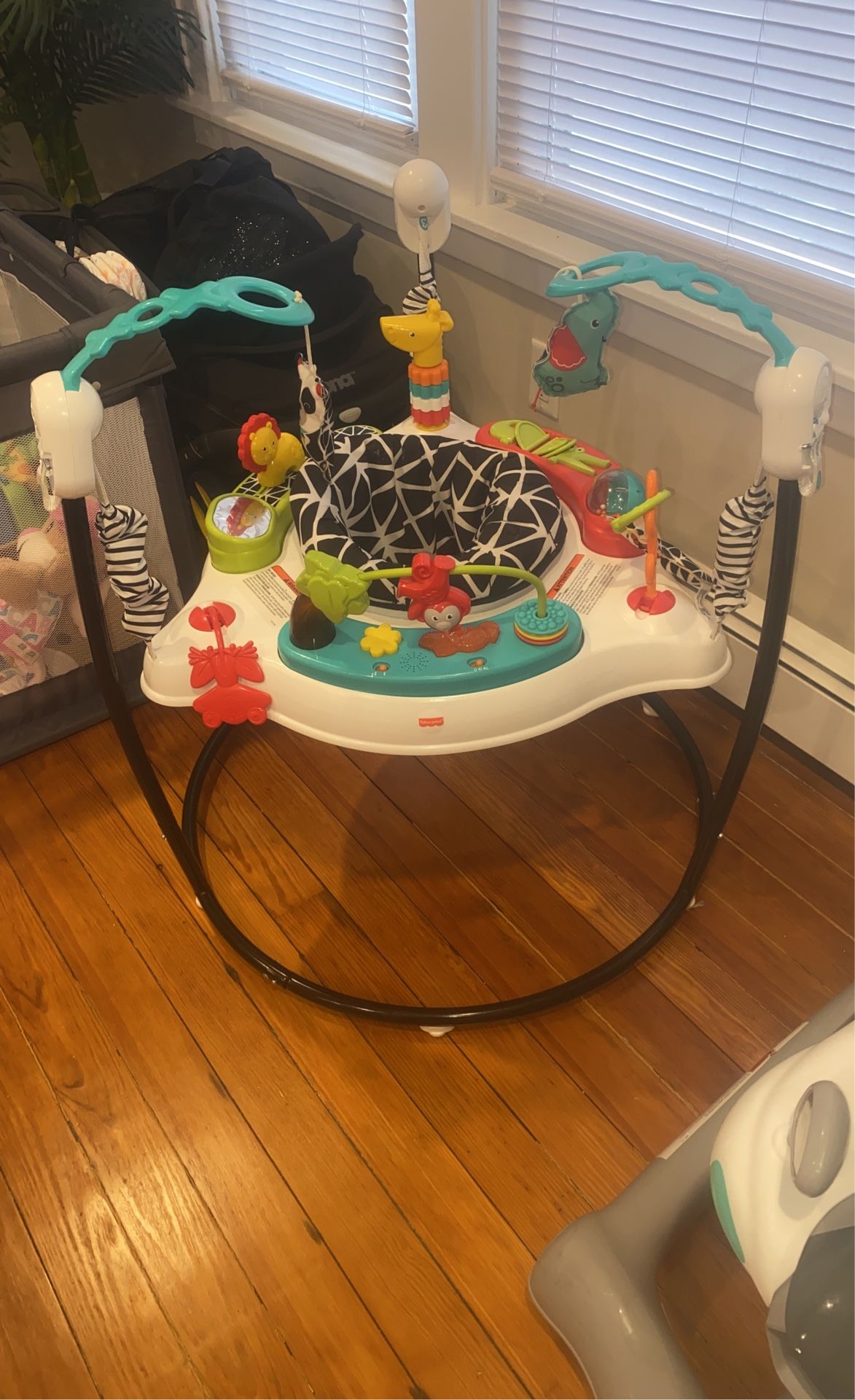 Fisher Price Jumper Roo