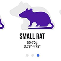 Frozen Feeder Rat Available 9ct