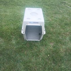 Dog Cage 