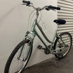 Giant beach cruiser hand brake and gear shifter