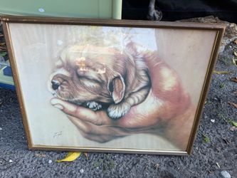 Framed Puppy Print Signed Zent