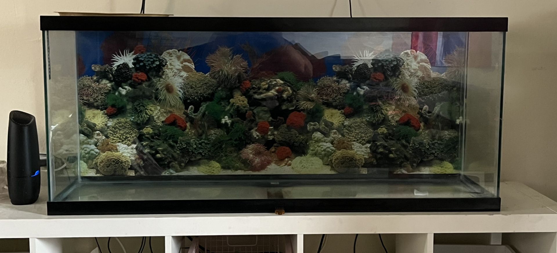 Fish Tank For Sale
