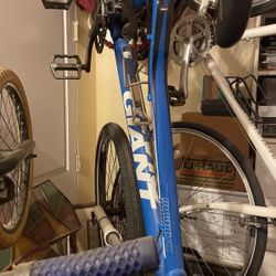 Blue Bike “Giant” 