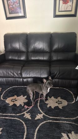 Leather couch