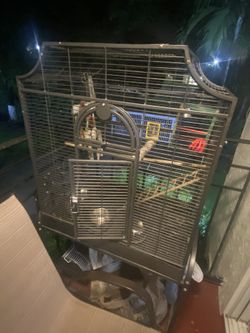 Large Bird Cage Included With Food And Small Carrying Case