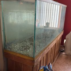 Very Large Fish Aquarium 73” X 27 X 18”