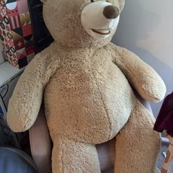 Giant 5t Teddy Bear