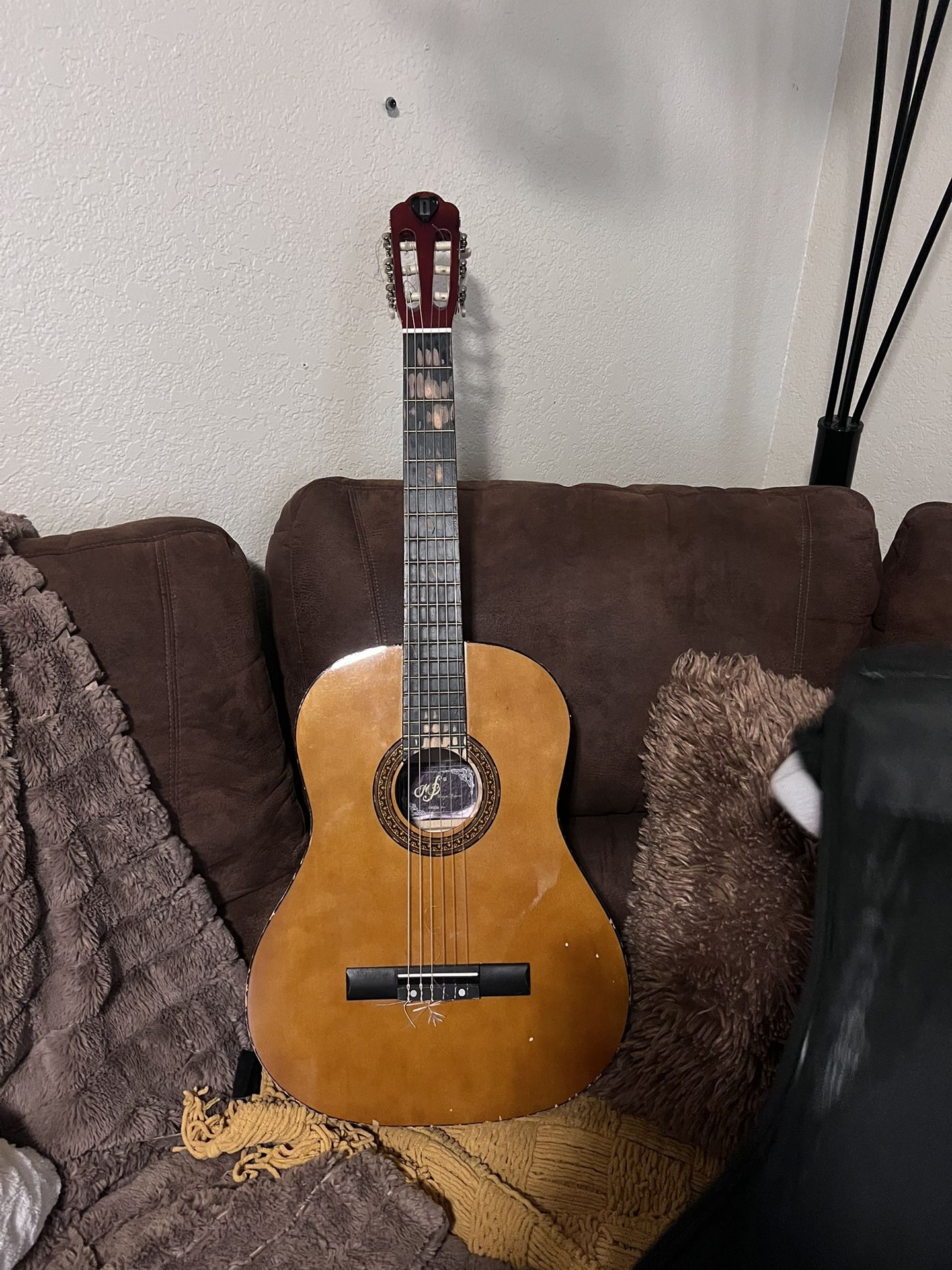 Guitar