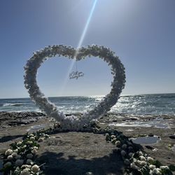 Proposal Heart Arch