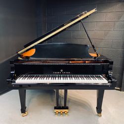 Young Chang 5'2" Model PG-157 Ebony Gloss Baby Grand Piano