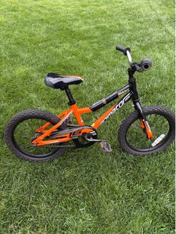 Animator 16 - Kids 16” Bike