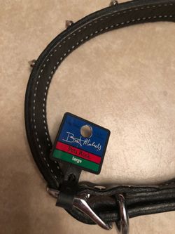 Large dog collar