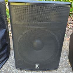 Kustom KPX15 passive PA Speaker with case