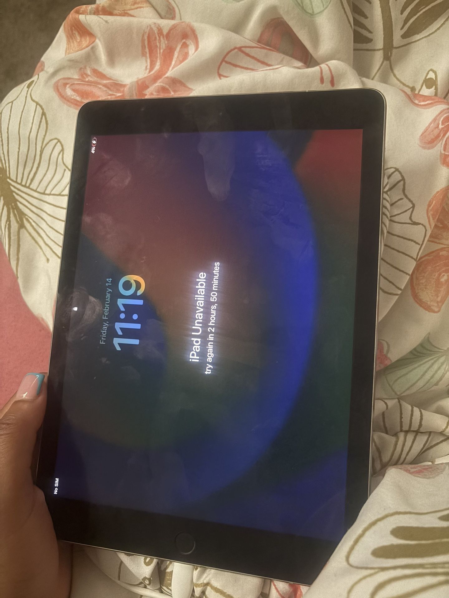 iPad