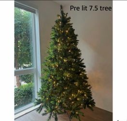 Tree