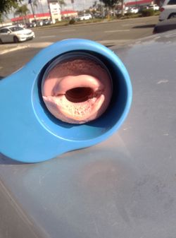 Autoblow AI (penile massager)