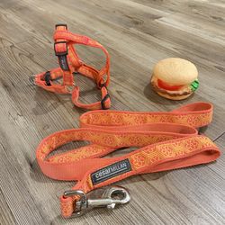 Cesar Millan Harness And Leach 