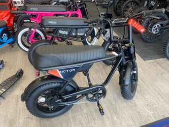 Rictor Flexx Electric Bike 750W/48V