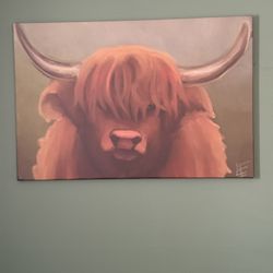 Highlander Cow